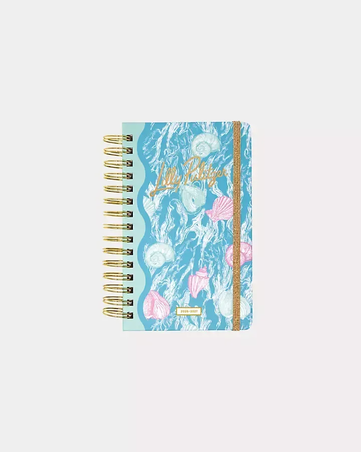 Lilly Pulitzer ChatGPT ad — 17-Month Medium Agenda