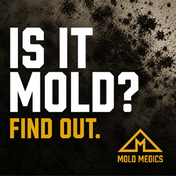 Mold Medics of Central Ohio ChatGPT ad — Found Mold? Know What to Do Next in Architectural Salvage & Reclaimed Building Materials
