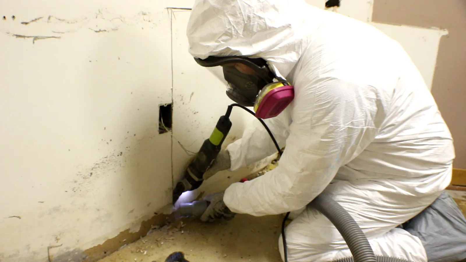 Swack Environmental LLC ChatGPT ad — Got Mold? We Detect and Defeat It